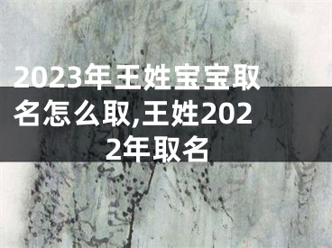 2023年王姓宝宝取名怎么取,王姓2022年取名