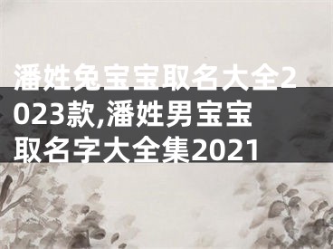 潘姓兔宝宝取名大全2023款,潘姓男宝宝取名字大全集2021