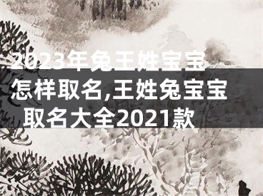 2023年兔王姓宝宝怎样取名,王姓兔宝宝取名大全2021款