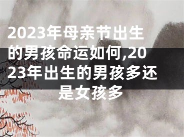 2023年母亲节出生的男孩命运如何,2023年出生的男孩多还是女孩多