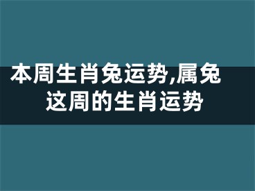 本周生肖兔运势,属兔这周的生肖运势