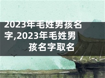 2023年毛姓男孩名字,2023年毛姓男孩名字取名