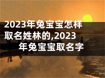 2023年兔宝宝怎样取名姓林的,2023年兔宝宝取名字