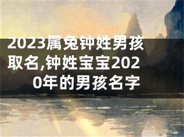 2023属兔钟姓男孩取名,钟姓宝宝2020年的男孩名字