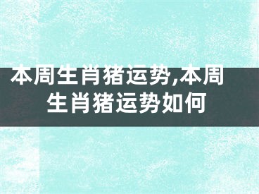 本周生肖猪运势,本周生肖猪运势如何