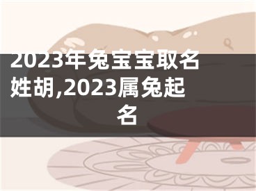 2023年兔宝宝取名姓胡,2023属兔起名