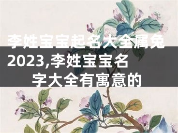 李姓宝宝起名大全属兔2023,李姓宝宝名字大全有寓意的