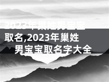 2023年巢姓男宝宝取名,2023年巢姓男宝宝取名字大全