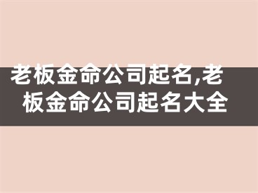 老板金命公司起名,老板金命公司起名大全