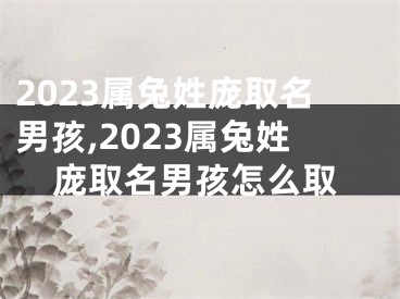 2023属兔姓庞取名男孩,2023属兔姓庞取名男孩怎么取