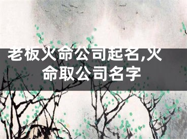 老板火命公司起名,火命取公司名字