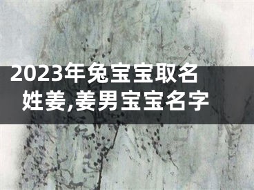 2023年兔宝宝取名姓姜,姜男宝宝名字