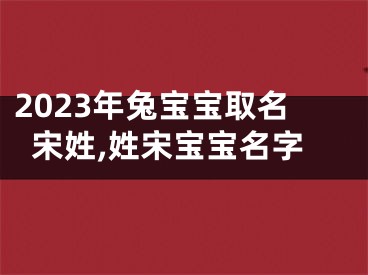 2023年兔宝宝取名宋姓,姓宋宝宝名字