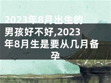 2023年8月出生的男孩好不好,2023年8月生是要从几月备孕