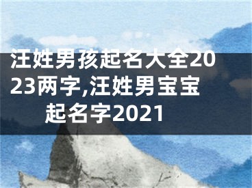 汪姓男孩起名大全2023两字,汪姓男宝宝起名字2021