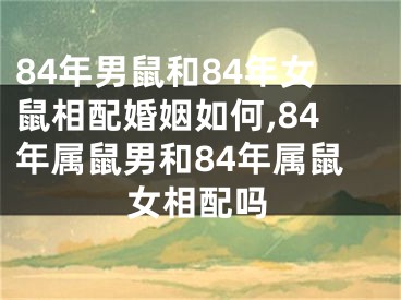 84年男鼠和84年女鼠相配婚姻如何,84年属鼠男和84年属鼠女相配吗