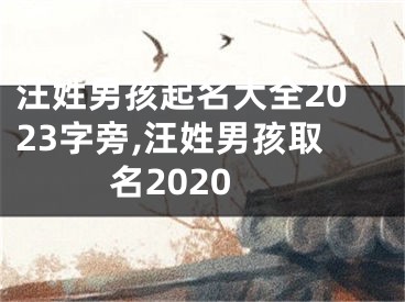 汪姓男孩起名大全2023字旁,汪姓男孩取名2020