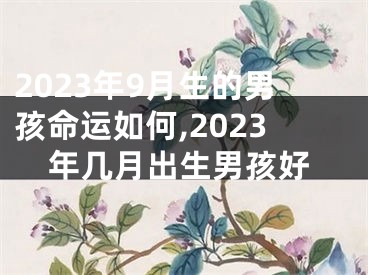 2023年9月生的男孩命运如何,2023年几月出生男孩好