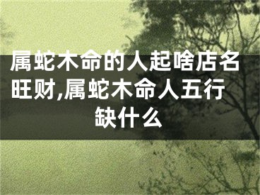 属蛇木命的人起啥店名旺财,属蛇木命人五行缺什么