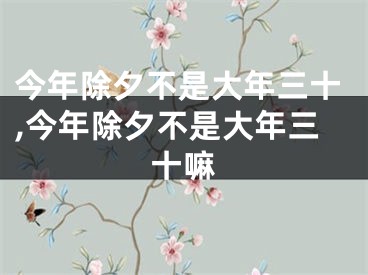 今年除夕不是大年三十,今年除夕不是大年三十嘛