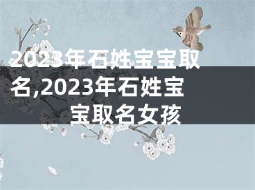 2023年石姓宝宝取名,2023年石姓宝宝取名女孩