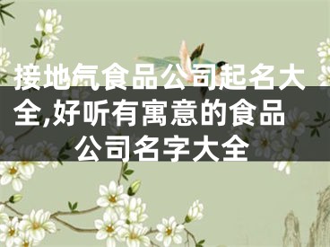 接地气食品公司起名大全,好听有寓意的食品公司名字大全