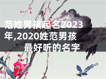 范姓男孩起名2023年,2020姓范男孩最好听的名字