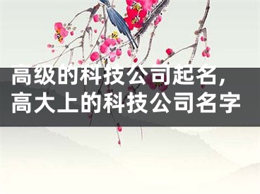 高级的科技公司起名,高大上的科技公司名字