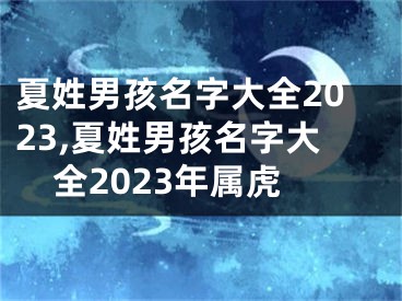 夏姓男孩名字大全2023,夏姓男孩名字大全2023年属虎