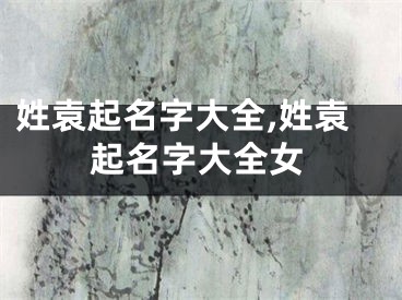 姓袁起名字大全,姓袁起名字大全女