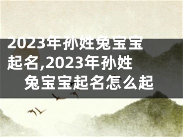 2023年孙姓兔宝宝起名,2023年孙姓兔宝宝起名怎么起