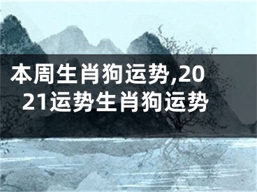 本周生肖狗运势,2021运势生肖狗运势