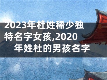 2023年杜姓稀少独特名字女孩,2020年姓杜的男孩名字