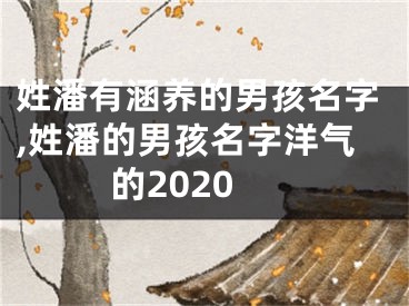 姓潘有涵养的男孩名字,姓潘的男孩名字洋气的2020