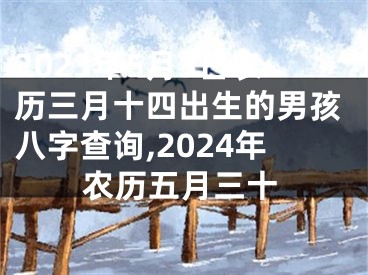 2023年5月3日农历三月十四出生的男孩八字查询,2024年农历五月三十