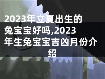 2023年立夏出生的兔宝宝好吗,2023年生兔宝宝吉凶月份介绍