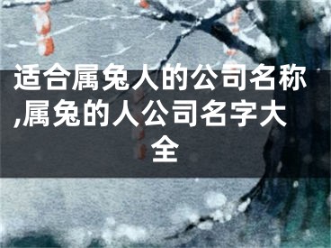 适合属兔人的公司名称,属兔的人公司名字大全