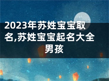 2023年苏姓宝宝取名,苏姓宝宝起名大全男孩