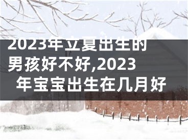 2023年立夏出生的男孩好不好,2023年宝宝出生在几月好