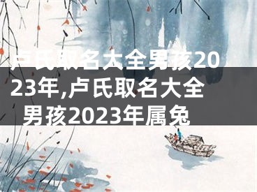 卢氏取名大全男孩2023年,卢氏取名大全男孩2023年属兔