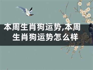 本周生肖狗运势,本周生肖狗运势怎么样