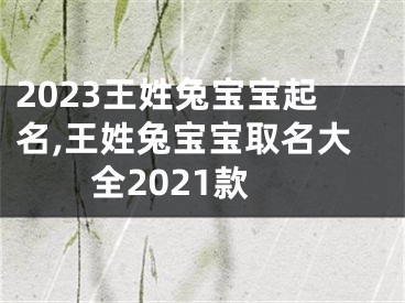 2023王姓兔宝宝起名,王姓兔宝宝取名大全2021款