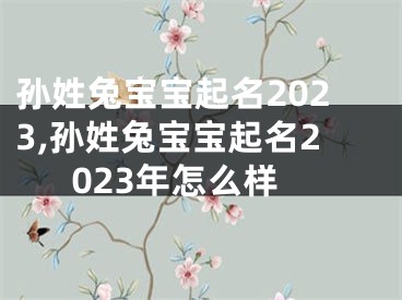 孙姓兔宝宝起名2023,孙姓兔宝宝起名2023年怎么样