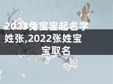 2023兔宝宝起名字姓张,2022张姓宝宝取名