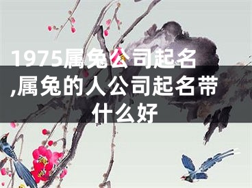 1975属兔公司起名,属兔的人公司起名带什么好