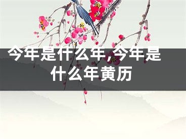 今年是什么年,今年是什么年黄历