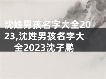 沈姓男孩名字大全2023,沈姓男孩名字大全2023沈子鹏