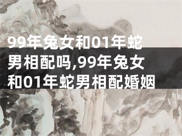 99年兔女和01年蛇男相配吗,99年兔女和01年蛇男相配婚姻