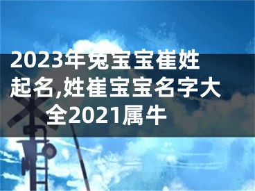 2023年兔宝宝崔姓起名,姓崔宝宝名字大全2021属牛