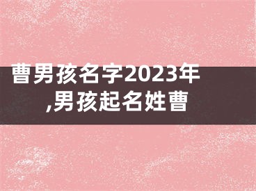 曹男孩名字2023年,男孩起名姓曹